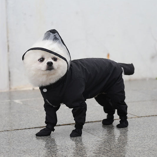 cute raincoat for dogs