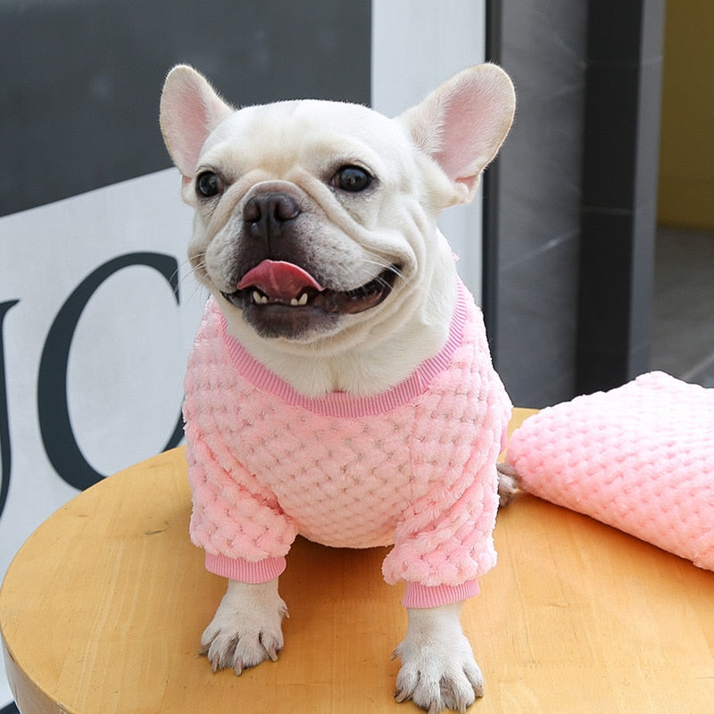 pet clothes sweater