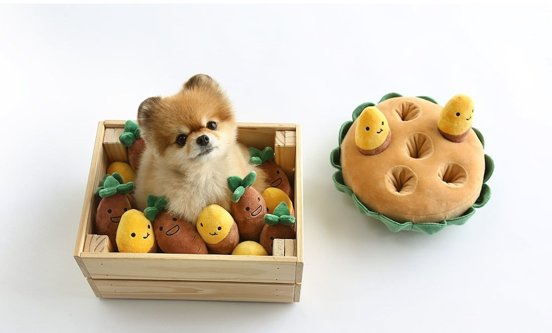 dog activity puzzle toy