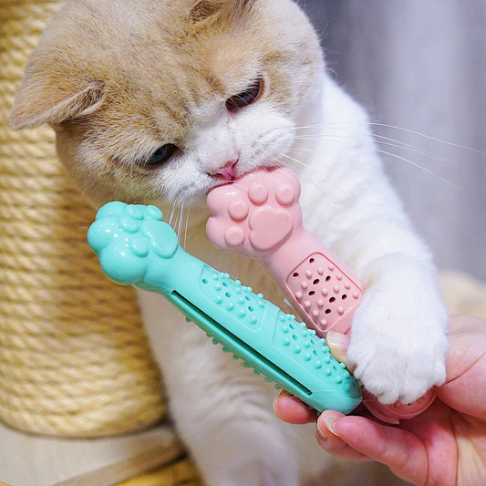 cute pet toothbrush