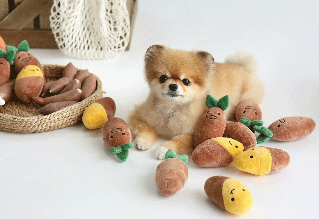 dog toys puzzle