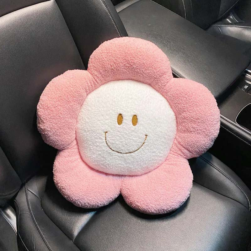 cute pillow in the car