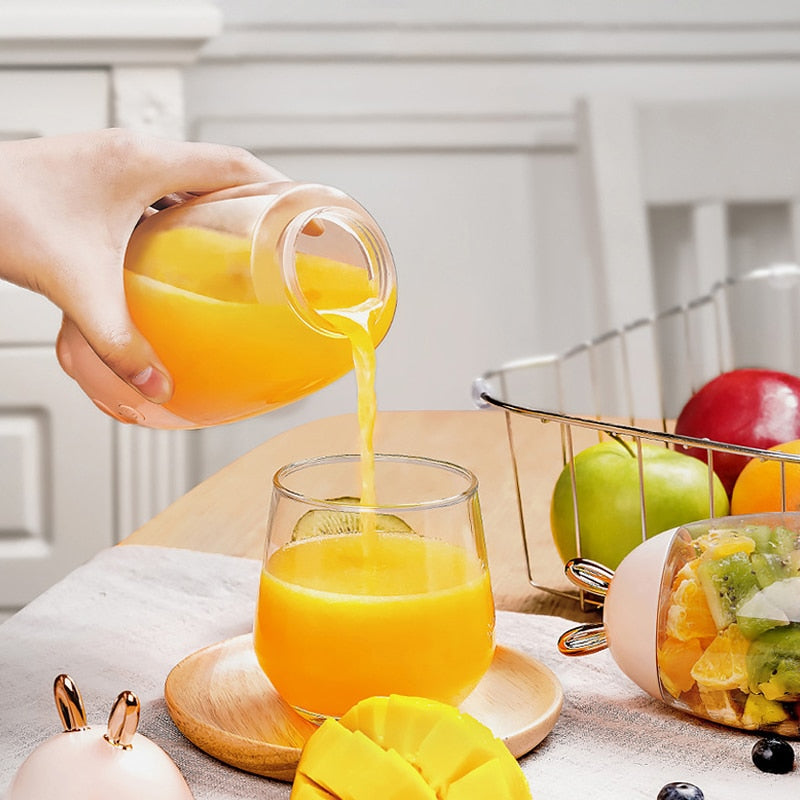 fruit juicer mixer smoothie